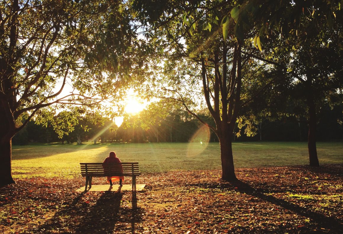 Person on park bench watching sunset in autumn