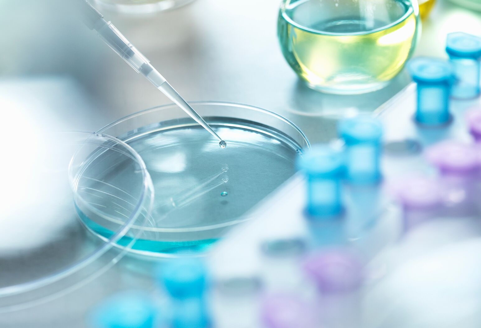 Lab samples ready for testing