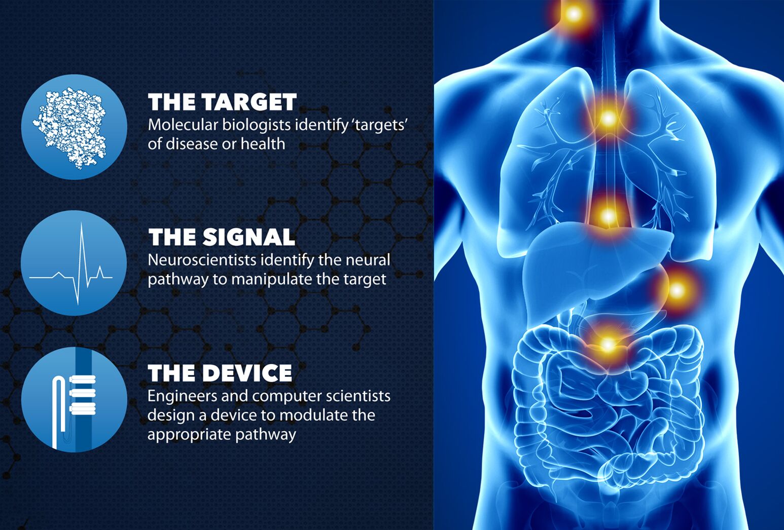 Bioelectronic Medicine image