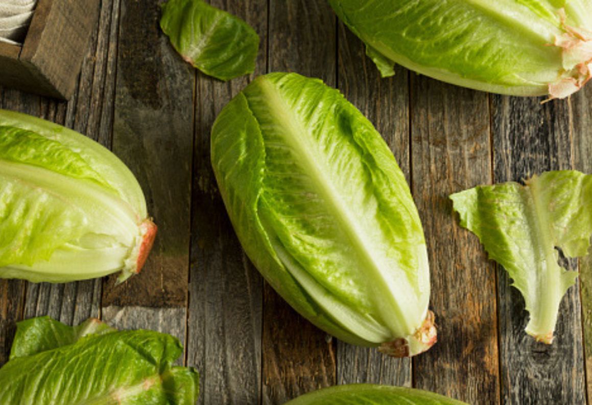 Lettuce