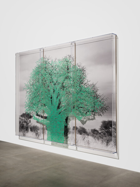 webimage-FB1ECF2B-B1DE-4A96-