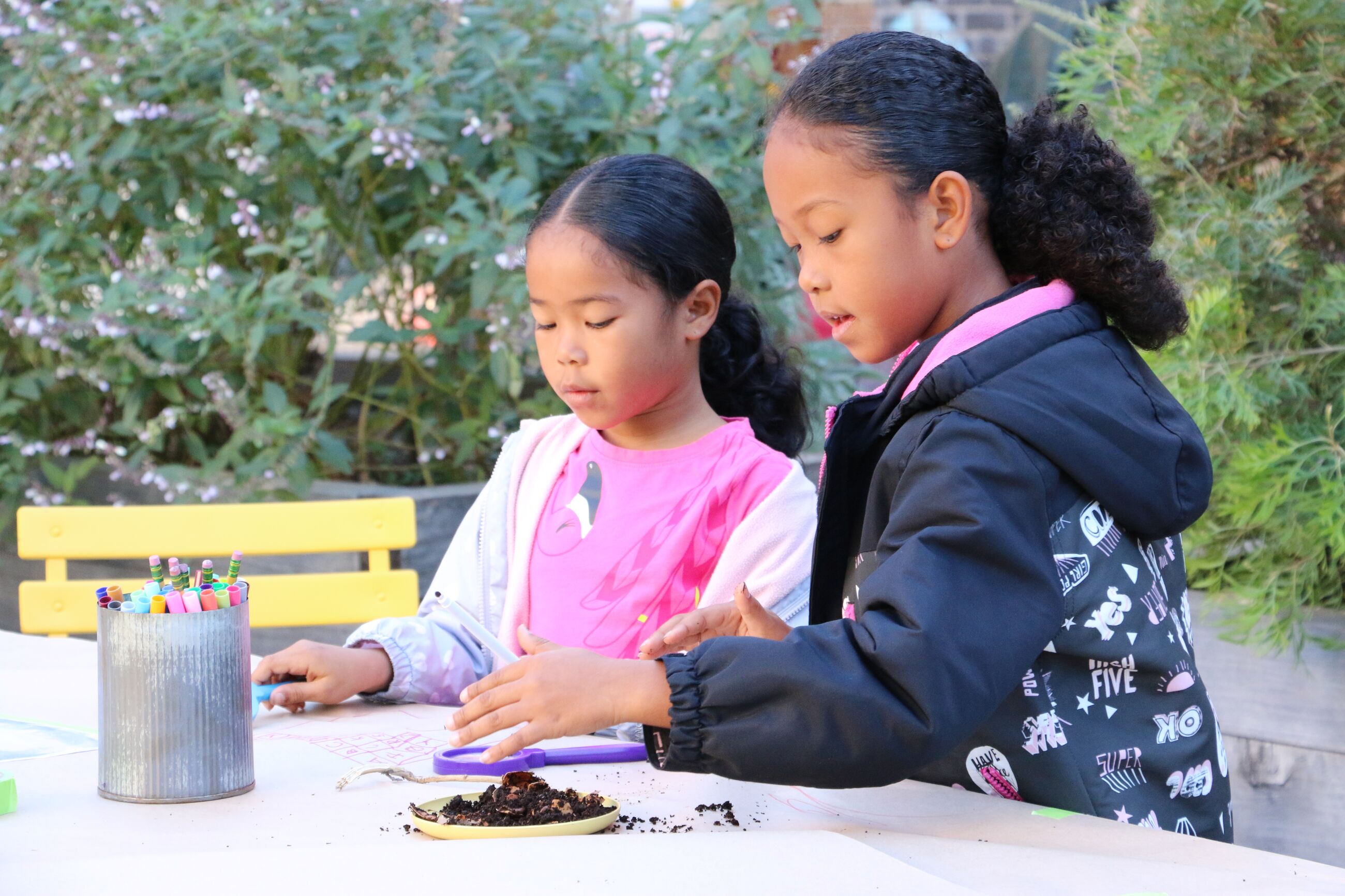 Image for events titled Garden Workshop: Growing a Small Container Salsa Garden