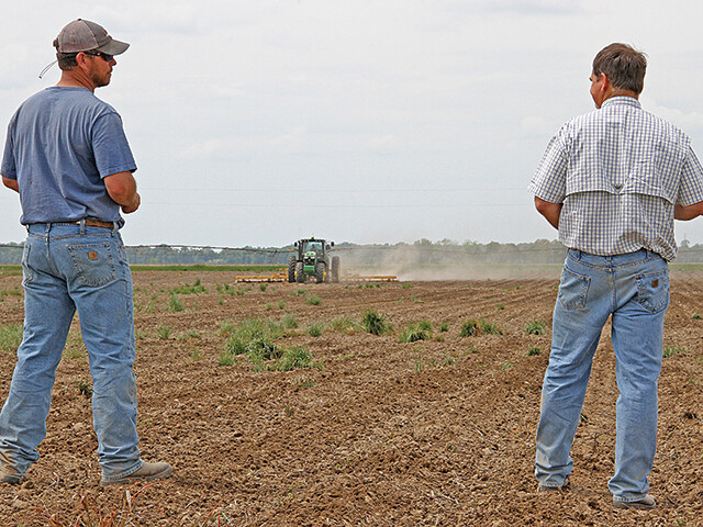 Conversation between farmers Farmers