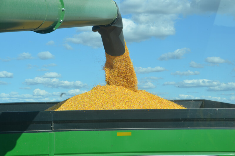 Harvest