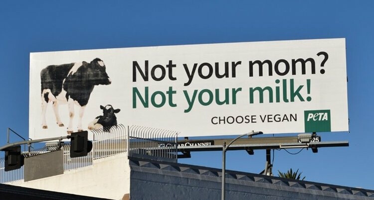 PETA Dairy Billboard