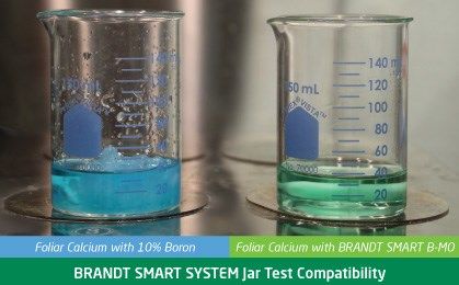 smartsystem-comparison