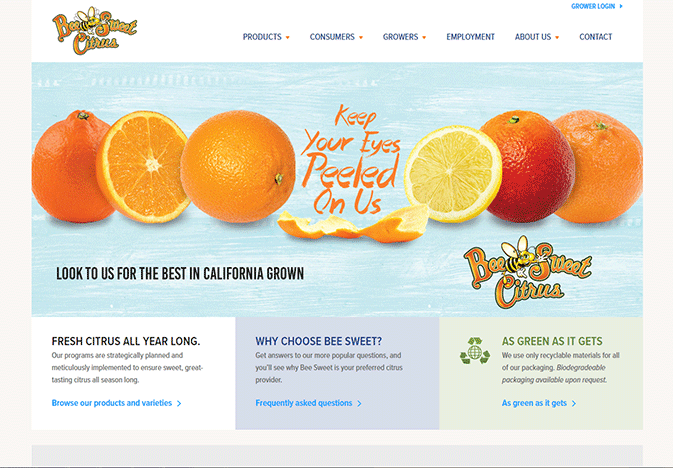 Bee-Sweet-new-website_WEB