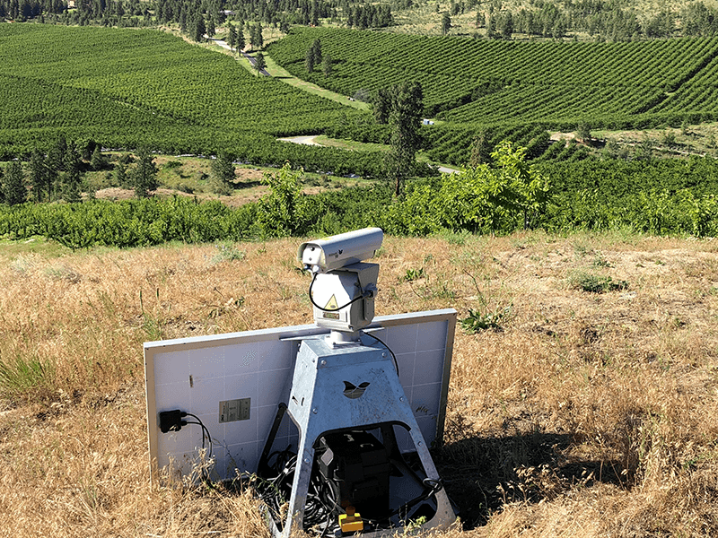 Starr-Ranch-bird-laser