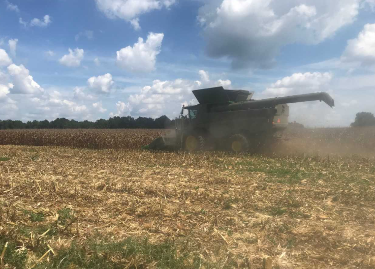Harvest is underway for this farmer. North Carolina Harvest