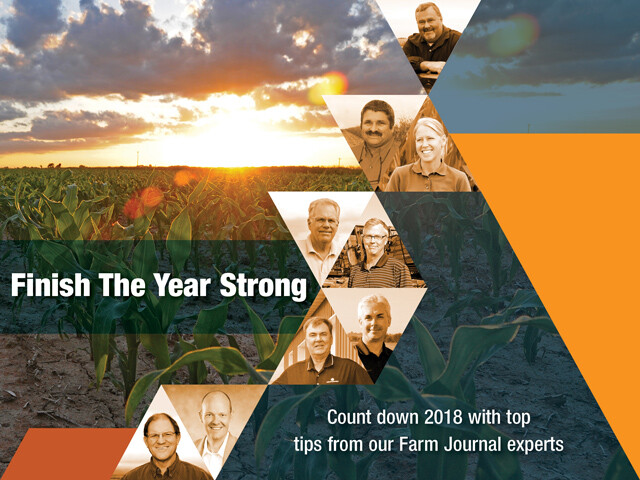 Count down 2018 with top tips from our Farm Journal experts Finish the Year Strong