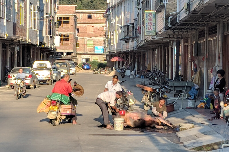 Meat sales in streets of China 1
