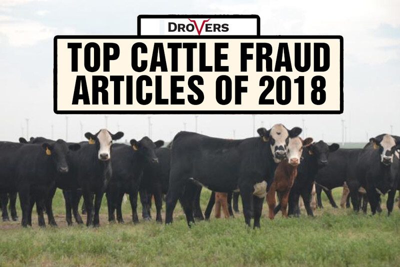 top cattle fraud