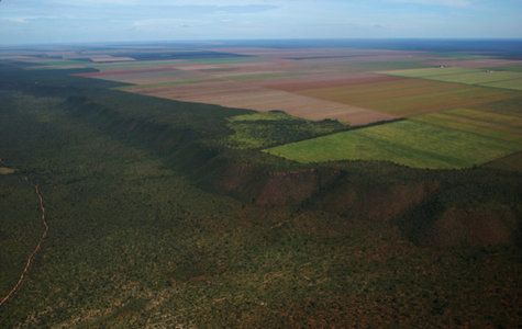Aerial shot of savanna land in Brazil Brazil Cerrado savanna