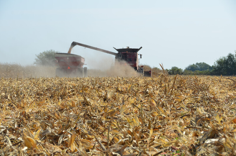 Corn Harvest in west central MO Harvest 2017