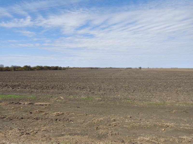 Texas farmland