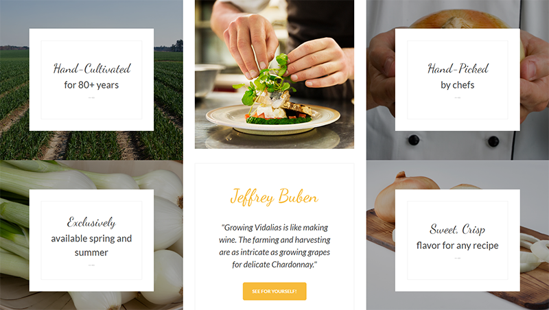 Vidalia-Onion-new-site-2
