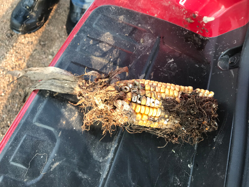 Crop Tour 2018