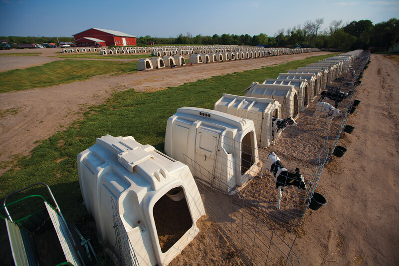 New York dairy farmer John Mueller wins big, helping his employees achieve their dreams (MILK July/Aug 2016 Cover Story) John Mueller Dairy 02