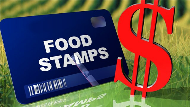 Food stamps, SNAP, EBT card SNAP (Food Stamps)