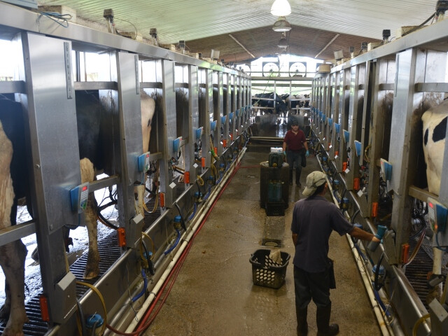 DT Dairy Parlor Employees