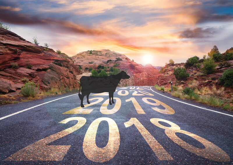 2018 road with sunrise 872297916