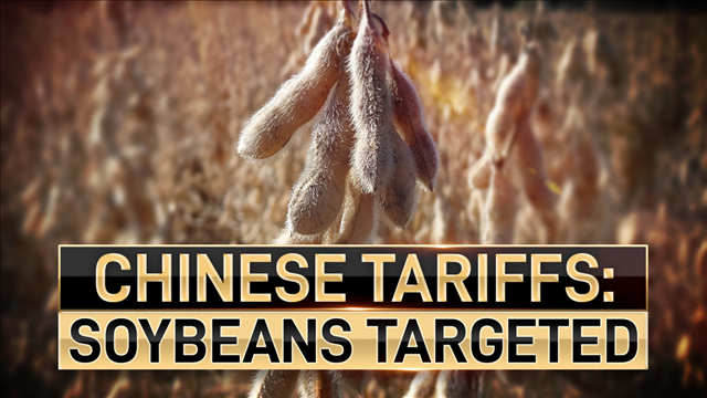China likely to target US soybeans for tariffs Soybean tariff target