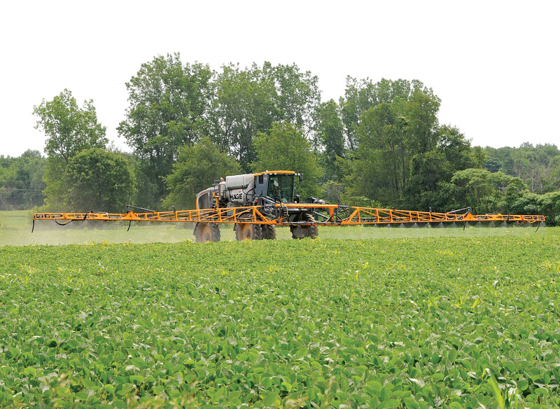 Spraying beans Spraying beans