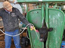 Deworming Deworming