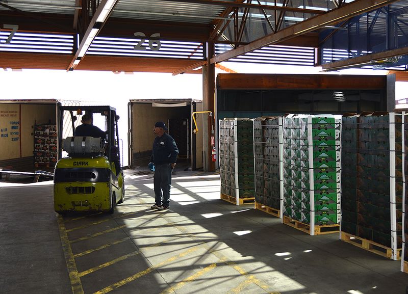 Fresh squash from Mexico is unloaded from trucks for examination by U.S. Customs and Border Protection officers on inspection docks at the Mariposa Land Port of Entry in Nogales, Ariz. Fresh produce imports inspected in Nogales, Ariz.