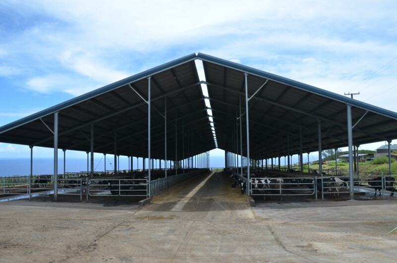 Big Island Dairy Hawaii