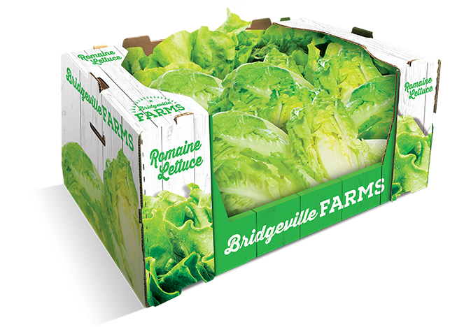 Georgia-Pacific-lettuce-box
