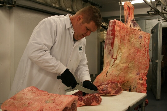 Dr. Dale Woerner Dale Woerner 009 (540x360)