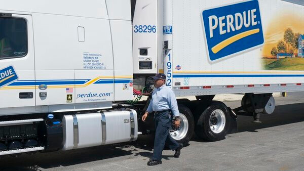 shot of driver walking towards cab of his Perdue Farms tractor-trailer Perdue Farms Inc