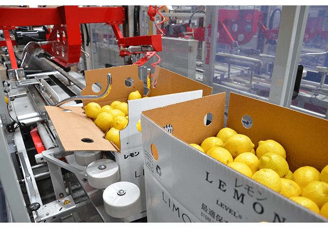 Limoneira packinghouse