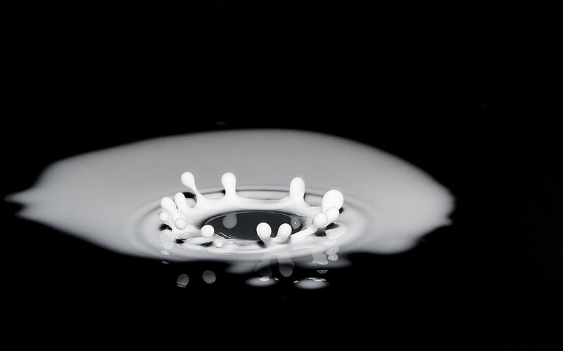 milk