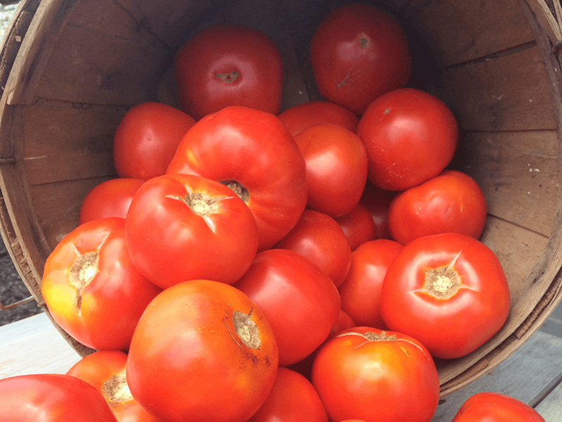 New-Jersey-tomatoes