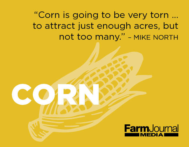Corn_Outlook 2019