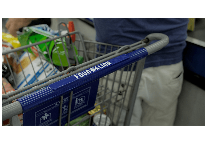 food lion cart - web
