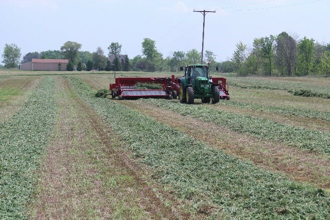 first_cut_alfalfa_silage.jpg