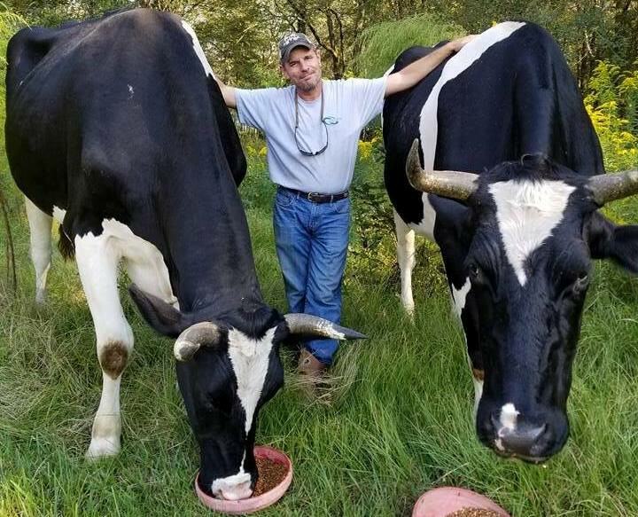 Milo and Otis Giant Steers