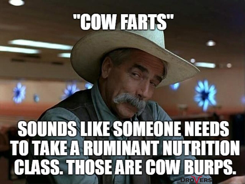 MEME Cow Farts - Final