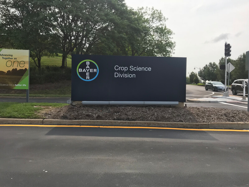 Bayer