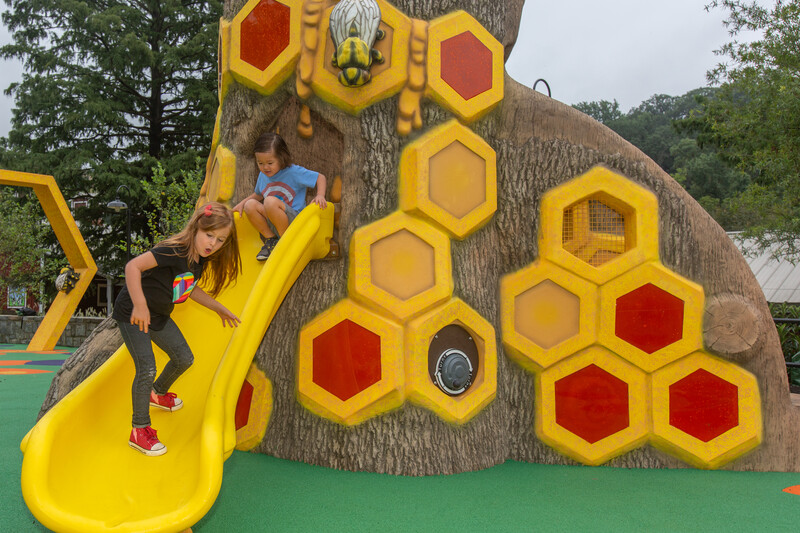 Me and the Bee Playground