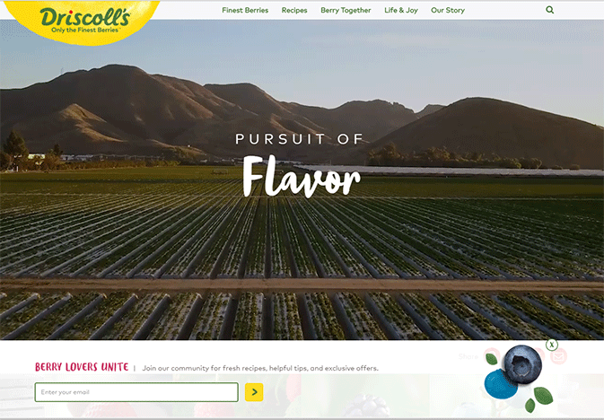 Driscolls-Pursuit-of-Flavor-WEB