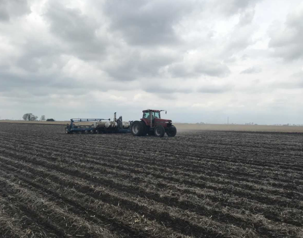 Farmers continue to plant. Planting