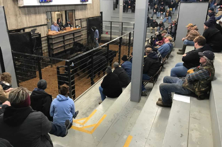 cattle sale barn