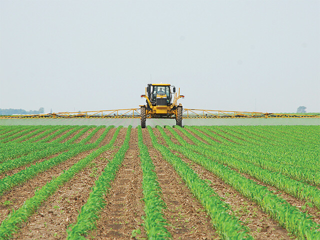Sprayer on corn Sprayer