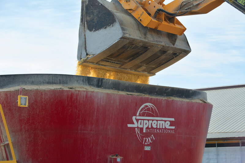 This is feed being dumped into a mixer for a dairy ration 饲料堆