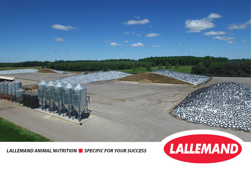 lallemand_animal_nutrition.jpg