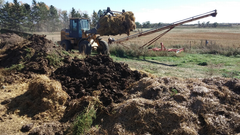 Dead Cattle Disposal Compost